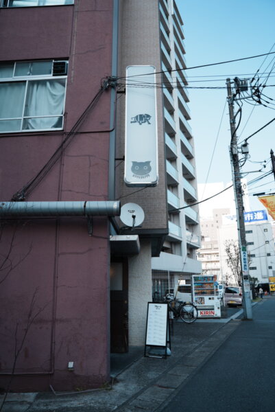 柏 ヒマラヤユキノシタ