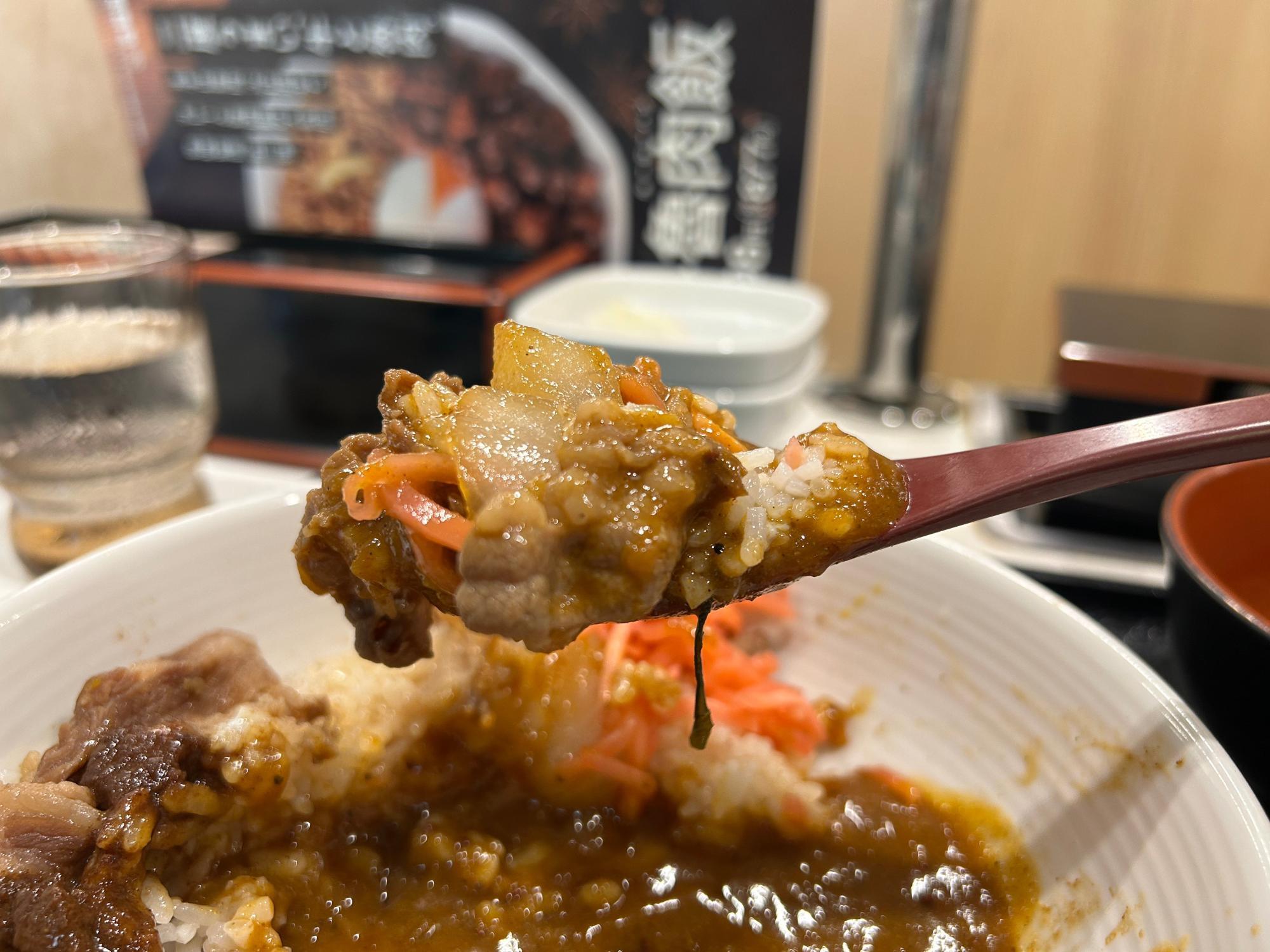 牛肉、玉ねぎ、紅生姜にカレー