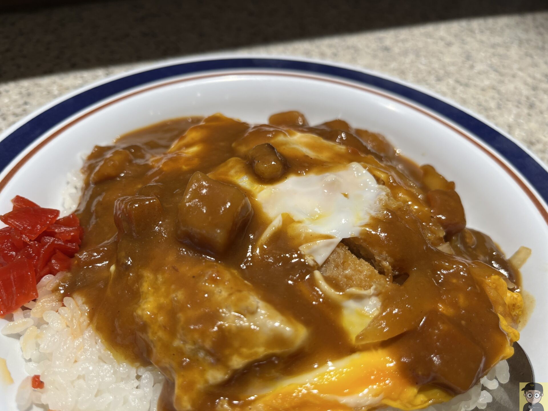 カレーかつ丼 富士そば