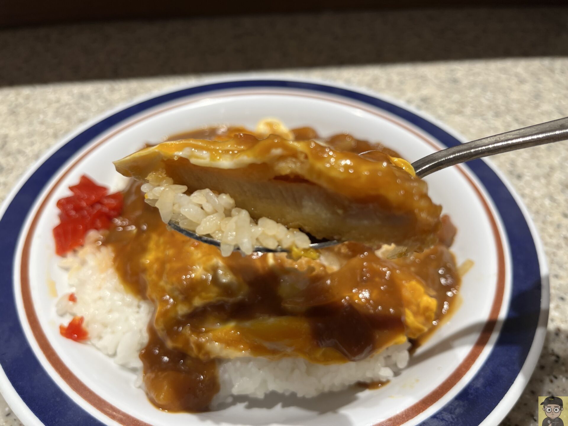 カレーかつ丼 富士そば