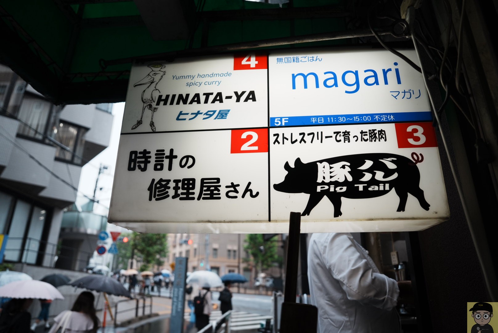 手羽先のせチキンカレー ヒナタ屋 神保町