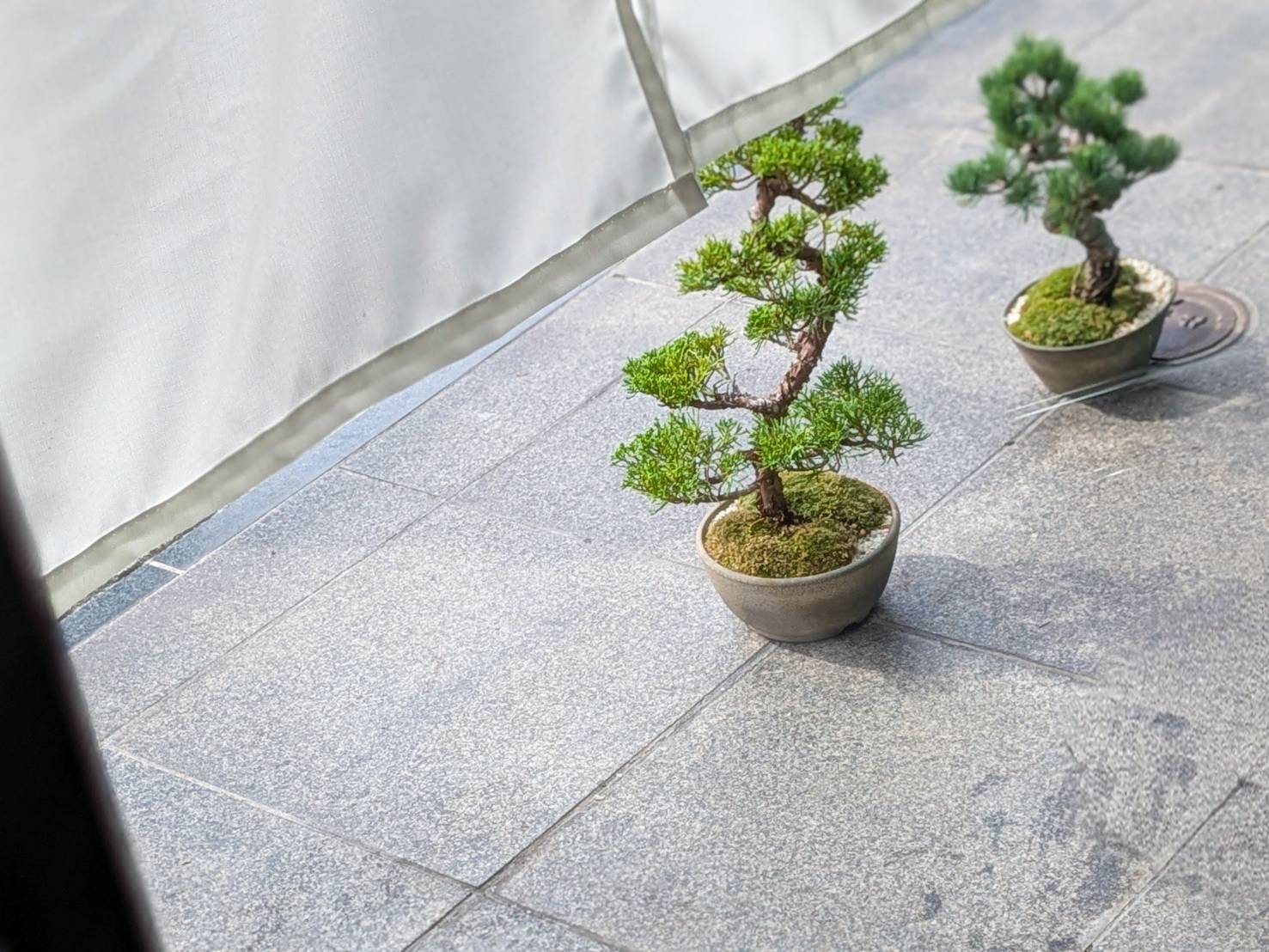 幕末カリー(神泉)