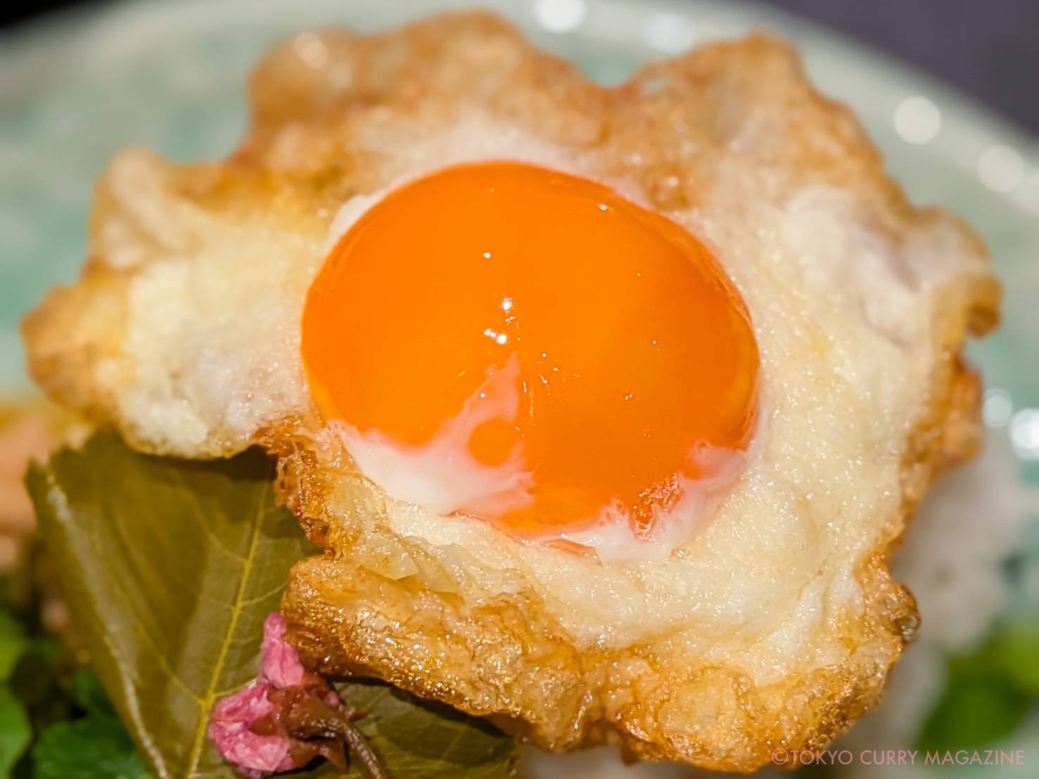 すっぽんとタイ料理 月島 源平(月島)