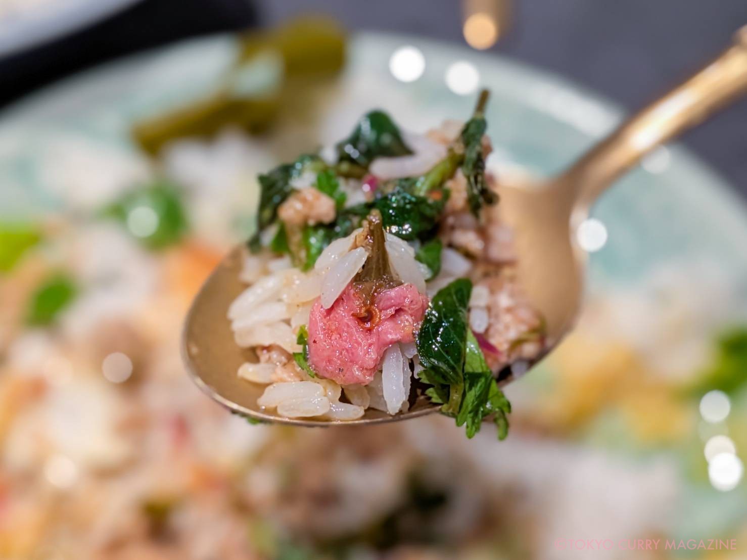 すっぽんとタイ料理 月島 源平(月島)