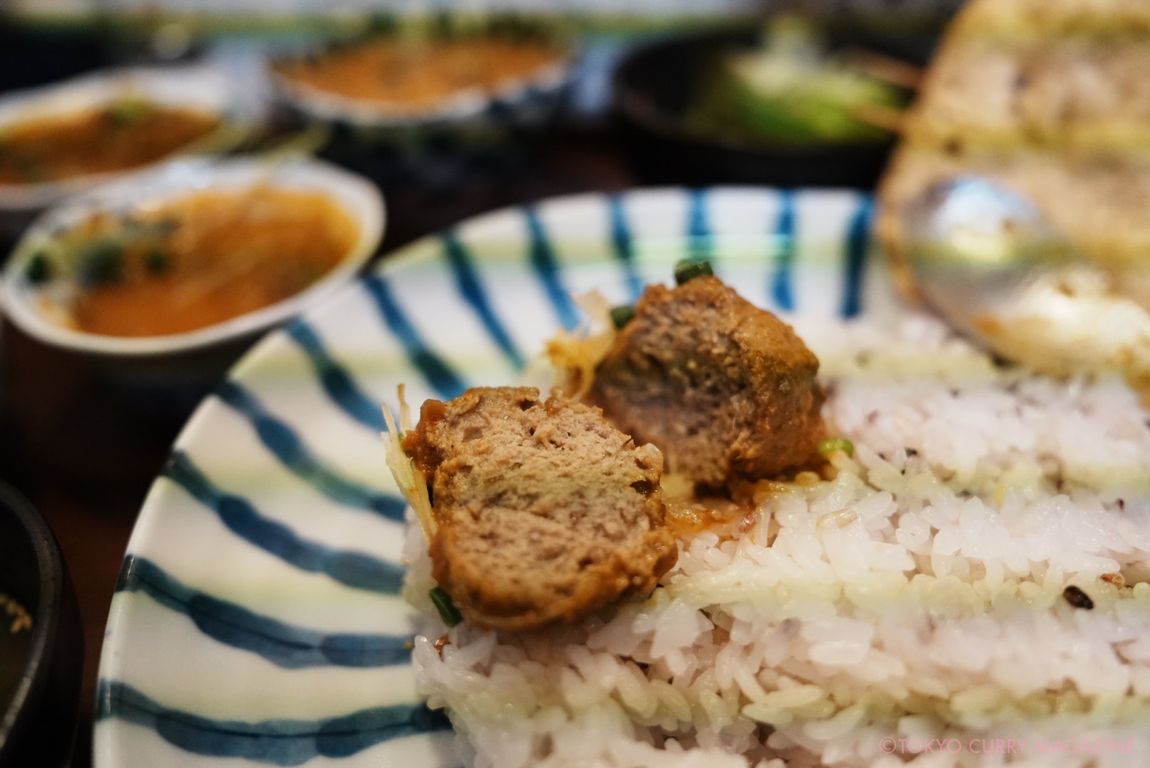 森下「月と亀」深川インド定食 鰯のつみれカレー定食
