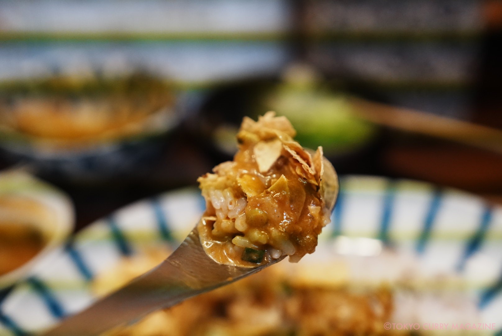 森下「月と亀」深川インド定食 鰯のつみれカレー定食